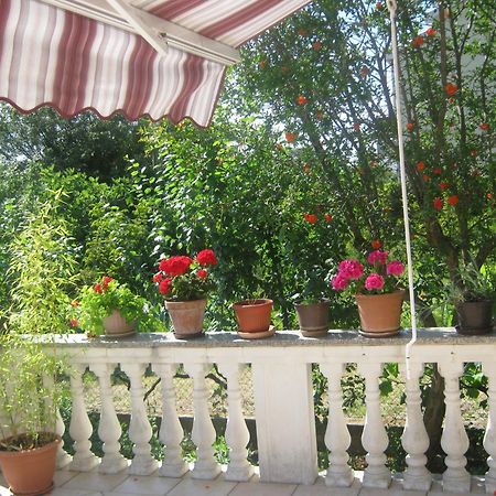 Apartments Grzunov ซาดาร์ ห้อง รูปภาพ