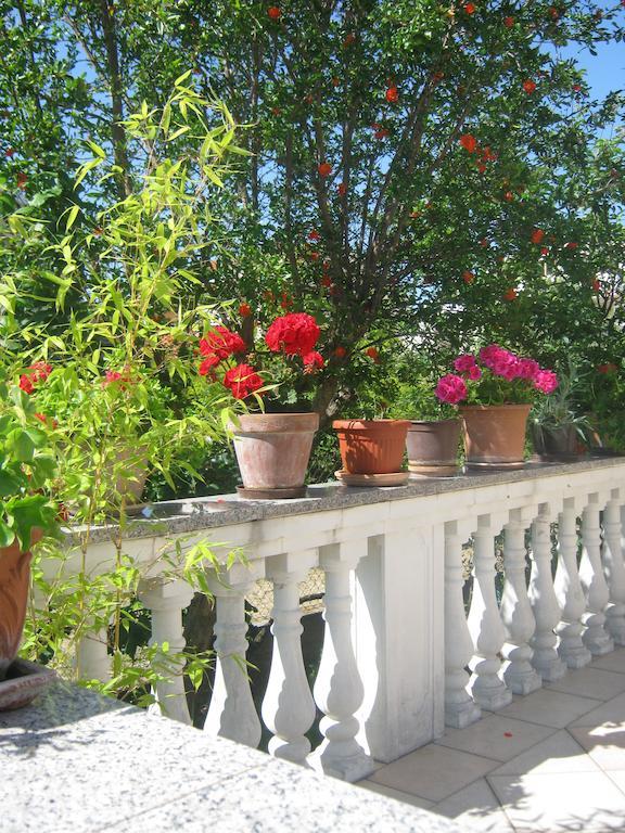 Apartments Grzunov ซาดาร์ ภายนอก รูปภาพ